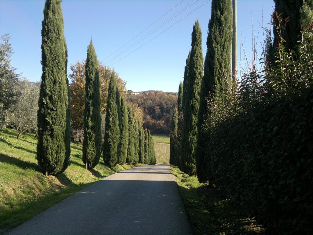 ホテル Il Casolare Di Leonardo ヴィンチ エクステリア 写真